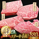 【ふるさと納税】4種ステーキ食べ比べ 110g×8枚 880g A5ランク 長崎和牛 ヒレ サーロイン ザブトン (肩ロース) イチボ 【肉のあいかわ】[NA40] 牛肉 和牛 赤身 ステーキ