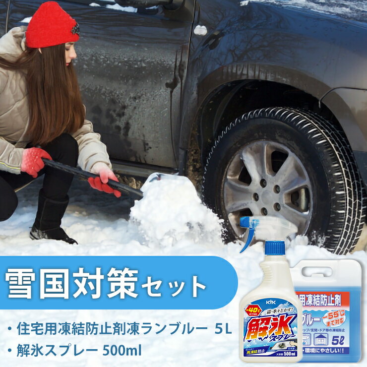 【ふるさと納税】雪国対策セット（住宅用氷結防止剤凍ランブルー5L＆解氷スプレー500ml）【カー用品】 車 自動車 大容量 住宅 窓 凍結 くもり 雪 霜 積雪 カーケア用品 車 自動車 大容量 住宅 窓 凍結 くもり　雪 霜 積雪 セット