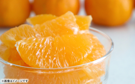 【先行予約】 不知火（デコポンと同品種） 約5kg しらぬい でこみかん 柑橘 ミカン ポンカン くだもの 果物 フルーツ 【2026年1月下旬より順次発送】