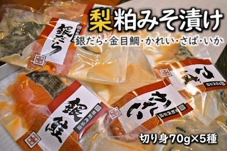 梨粕みそ漬け 鮮魚5種Cセット 銀だら 金目鯛 かれい さば いか 切り身 70g×7種 骨取り 漬け魚 個包装 焼き方ガイド付き 冷凍