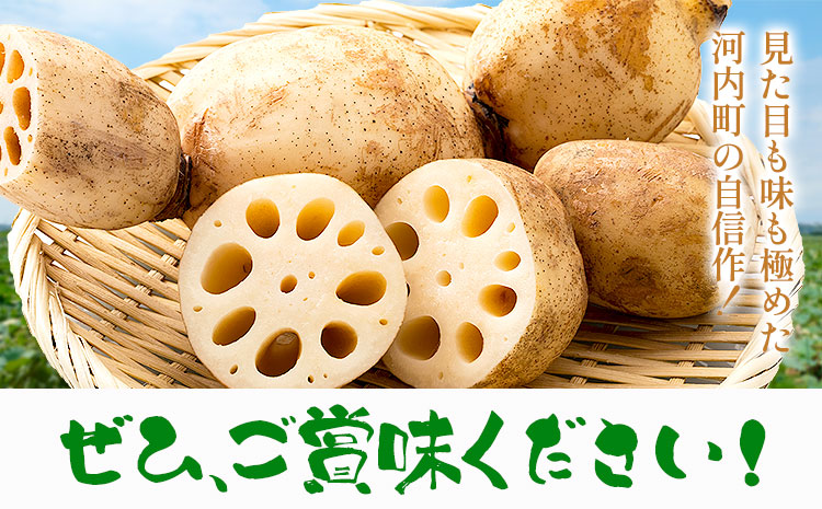 蓮根 4kg まちづくり河内株式会社かわち夢楽《30日以内に出荷予定(土日祝除く)》 茨城県 河内町 蓮根 れんこん レンコン 野菜