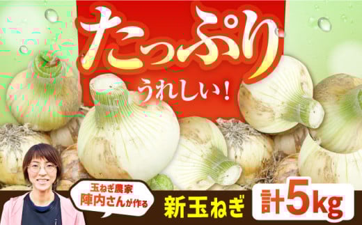 【先行予約】【農家直送！】玉葱農家のこだわり 新玉ねぎ 約5kg 【玉葱農家 陣内ちひろ】新たまねぎ 新玉葱 タマネギ 玉ネギ たまねぎ 九州 佐賀県 白石町 [IAO009]