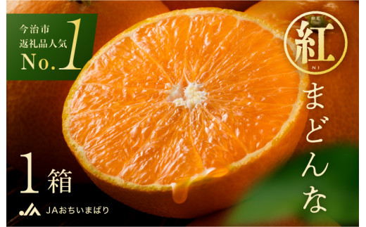 【先行予約】【数量限定】紅まどんな 化粧箱 3L～L 10～15玉【KC00620】12月上旬～下旬に順次発送予定 まどんな 愛媛 紅まどんな マドンナ まどんな みかん 愛媛県 果物 フルーツ みかん 年内発送 甘い 高級 柑橘類 紅マドンナ