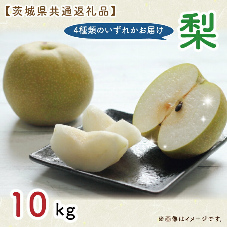 【ふるさと納税】【先行予約】【9月上旬より発送開始！】【茨城県共通返礼品】梨 10kg（石岡市、結城市、城里町、水戸市産）（KCM-16）