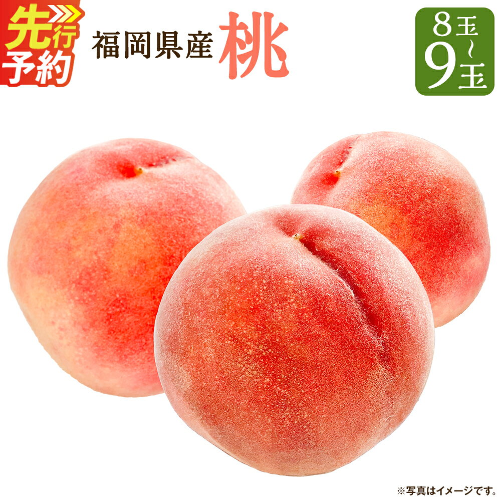 【ふるさと納税】先行予約 福岡県産 桃 8～9玉 産地直送 果物 フルーツ 九州産 冷蔵 JAふくおか 送料無料 【2027年6月下旬～7月下旬に順次発送予定】