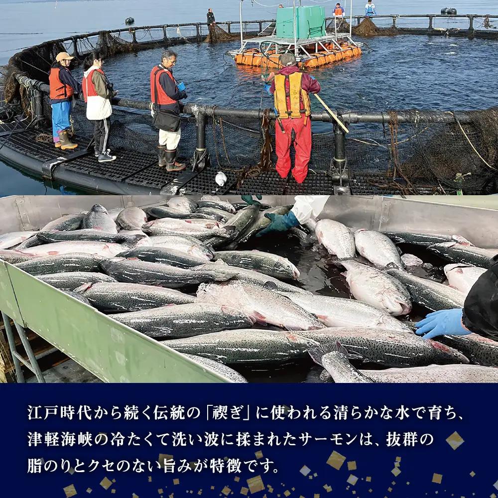【三印 三浦水産株式会社】木古内町産サーモンフィーレ 半身 950g～1,150gサイズ