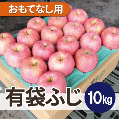 【26年6月出荷予定】平均糖度13度以上! 有袋ふじ 約10kg おもてなし用 CA貯蔵 クール便【配送不可地域：離島・沖縄県】【1613048】