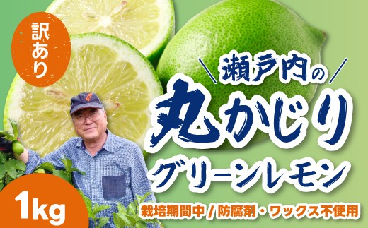 【訳あり】グリーンレモン1kg 《栽培期間中：防腐剤・ワックス不使用》2026年10月発送予定 檸檬 柑橘 果物 くだもの フルーツ 瀬戸内 251004