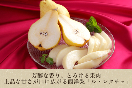 【2025年先行予約】【家庭用】西洋梨 ル・レクチェ 2kg（5～7玉）《11月下旬から順次発送》 果物 梨 洋梨 西洋梨 フルーツ 訳あり 冬の味覚 デザート 産地直送 加茂市 樋口農園 梨