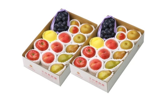 08-03-036　大盛季節のフルーツ詰合せ(9月分)10kg