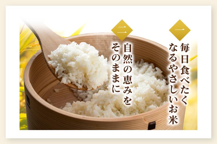 【10月上旬から順次発送】令和8年産 新米 茨城県産にじのきらめき10kg（茨城県共通返礼品/城里町）数量限定 お米 こめ コメ ごはん 精米 単一米 安心 安全 白米 生産者直送 高評価 おいしい 