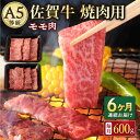 【ふるさと納税】【6回定期便】A5等級 佐賀牛 焼肉用 モモ 600g（300g×2パック）/ナチュラルフーズ[UBH072]