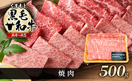牛肉 A4〜A5 くまもと 黒毛和牛 焼肉 牛肉【500g】