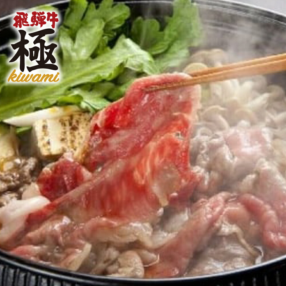 【ふるさと納税】飛騨市推奨特産品飛騨牛 希少部位入り福袋 すき焼きセット 総重量1200g 1.2kg 1kg 以上 メガ盛り 和牛 すき焼き 飛騨牛 飛騨市 肉 熨斗掛け[F0009]50000円 5万円
