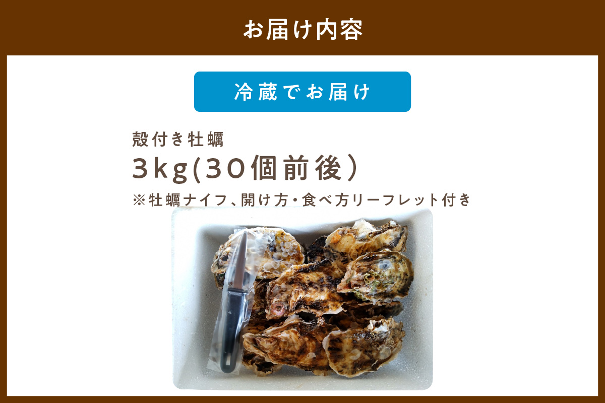 京都・久美浜産　殻付き牡蠣　3kg（30個前後）【加熱用】牡蠣ナイフ付　MN00018