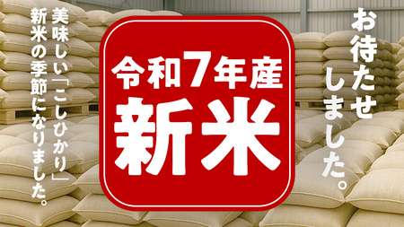 ＼ 新米先行予約 ／ 《 10月下期出荷 》 コシヒカリ 15kg 令和7年産精米 【 数量限定 】茨城県つくばみらい市産 米 コメ 単一米 39000 茨城県産 国産 発送 コスパ こしひかり