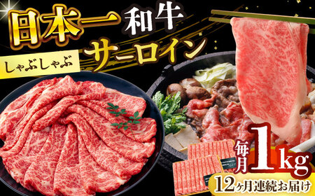 【12回定期便】【厳選部位】A4-A5 長崎和牛 サーロイン しゃぶしゃぶ すき焼き用  (500g×2)  サーロイン サーロイン サーロイン しゃぶしゃぶ すき焼き  [DBS108]