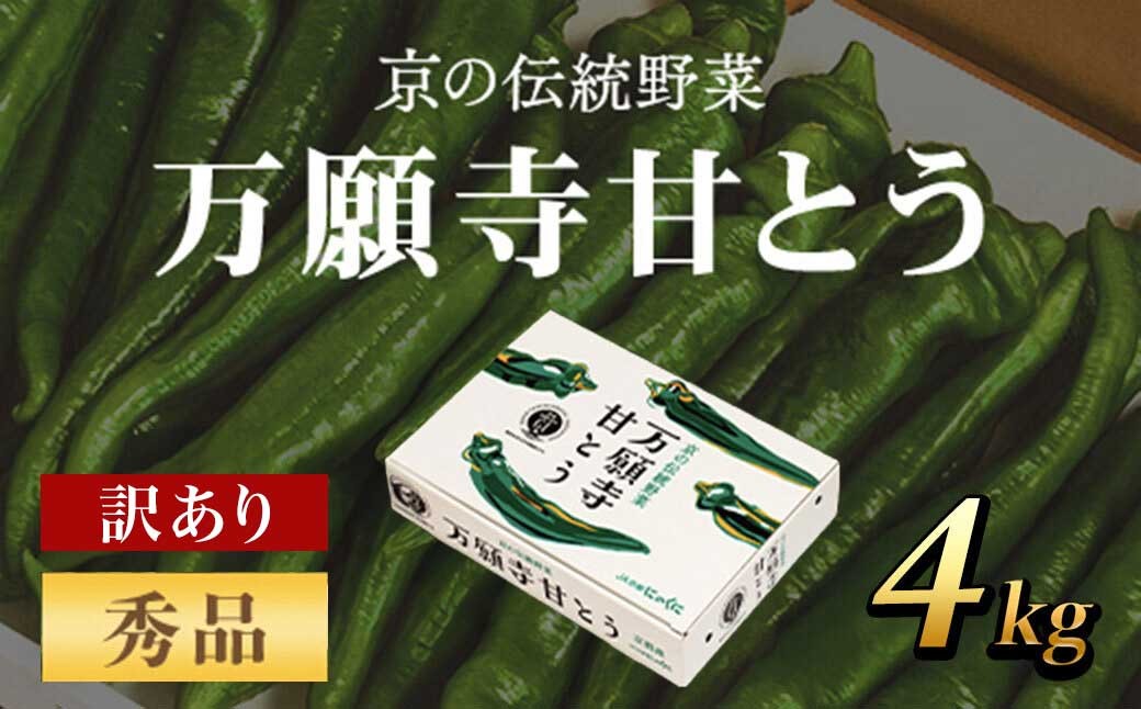 
            京のブランド産品　万願寺甘とう　秀品 4kg [長さ不揃い]【2025年発送分】 ふるさと納税 京野菜 旬の野菜 万願寺 甘とう とうがらし 訳あり 不揃い 大容量 大型 肉厚 甘い 京都府 福知山市 FCCS006
          