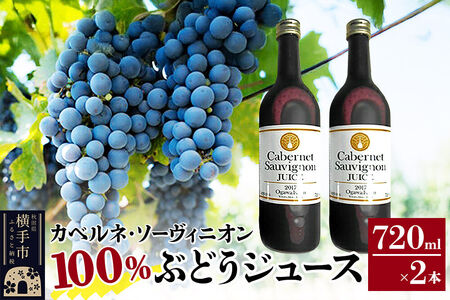 カべルネ・ソーヴィニオン100％ ぶどうジュース 720ml×2本
