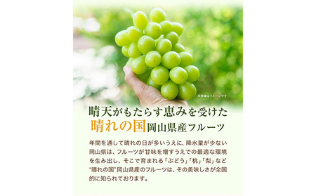 桃・ピオーネ詰め合わせ 約1kg 白桃 ぶどう