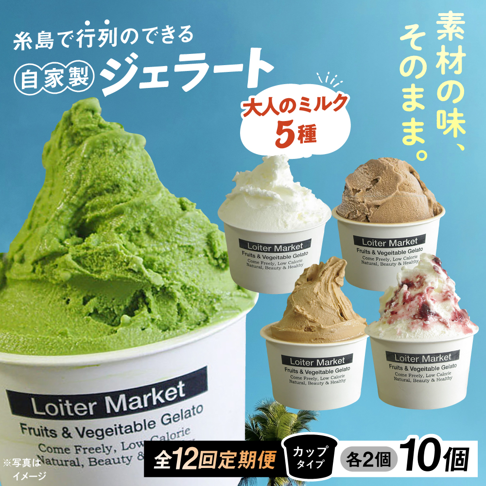 【全12回定期便】糸島で行列のできる アイスクリーム 屋 ジェラート カップ 10個セット！ 大人の味 5種類×各2個 (ミルク/抹茶/ほうじ茶/カフェオレ/ブルーベリーヨーグルト) 糸島市 / LoiterMarket ロイターマーケット アイスクリーム アイス クリーム [AGD022]