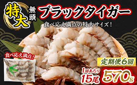 【6回定期便】特大 ブラックタイガー 無頭えび 570g以上（15尾）×6回 ｜海老 えび エビ ブラックタイガー 海鮮 魚介 殻付き 冷凍 大阪府 阪南市