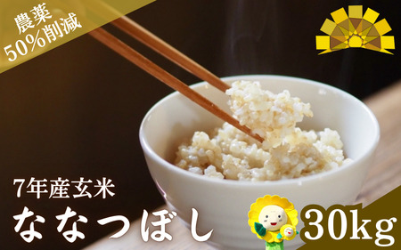 玄米 ななつぼし 新米 30kg / ごはん こめ 米 お米 北海道 北海道米 【kja400-nana-g30-R7】