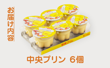 プリン3p 6個セット プリン 中央製乳