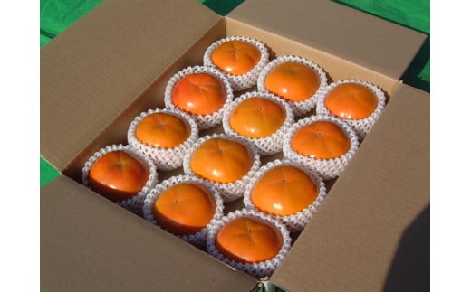 
            【 訳あり 】一心農園の富有柿  約6.5kg（24～30個）白箱入
          