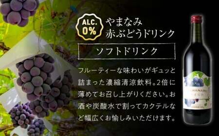 霧里ワインとワイナリーオリジナルぶどうドリンクセットB ワイン 受賞 飲み比べ ワインセット ギフト 三次市 / 広島三次ワイナリー[APAZ012]