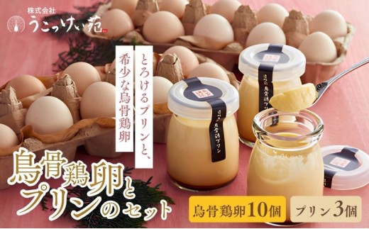 
                  鳥骨鶏卵（10個）とプリン（3個）のセット たまご 烏骨鶏 プリン スイーツ お菓子 静岡県 森町
                