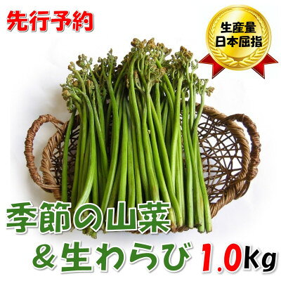 【ふるさと納税】【先行予約・数量限定】採れたて山菜セット　生わらび(1kg×1束)+季節の山菜2～3品【配送不可地域：離島】【1700453】