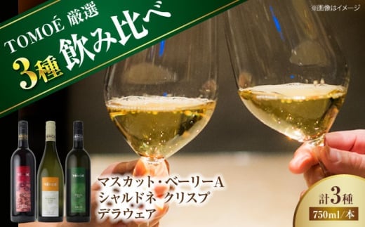 【お歳暮ギフト対象】ワイン飲み比べ ～TOMOE 厳選3種～おすすめ飲み比べ3種セット 受賞 ワインセット お酒 地酒 洋酒 テイスティング ソムリエ 広島県三次市産 国産 ぶどう 葡萄 ブドウ フルーツ フルーティ ギフト 贈答 プレゼント お取り寄せ ご当地 みよし 三好 記念日 誕生日 クリスマスパーティー おつまみ 産地直送 三次市/広島三次ワイナリー [APAZ027-666]