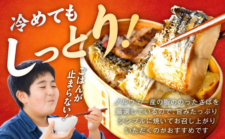 【定期便】塩さば 1kg（250g×4P）全6回【お弁当サイズ 生活応援 サバ 小分け 青魚 塩鯖 塩サバ 切身 塩焼き 焼きさば 焼き鯖 人気 冷凍 冷凍食品 おかず 惣菜 訳あり サイズ不揃い】 099Z577