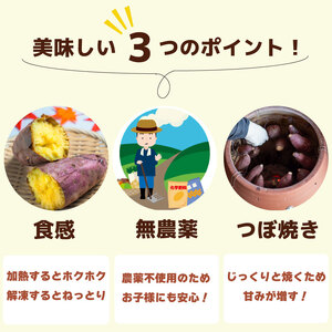 冷凍 焼き芋  選抜 紅はるか やきいも 2kg 【田條園】