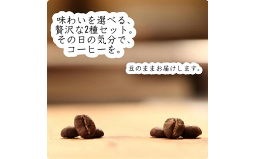 
                  《cafeみちくさロースターセレクト》スペシャリティコーヒー　浅煎り＆深煎りセット【豆】150gｘ各1袋
                