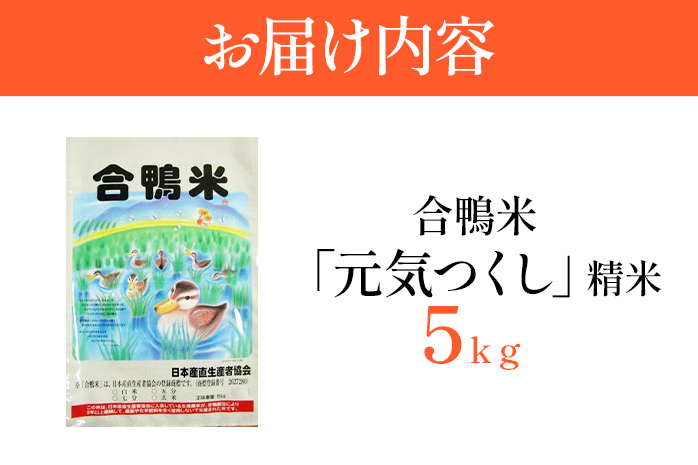 令和7年産 新米予約 合鴨米「元気つくし」（精米・5kg） ※2025年10月より順次出荷予定　BI08　