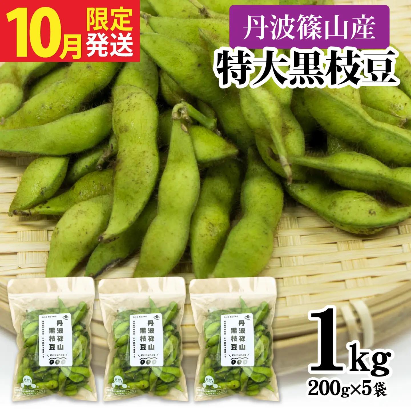 【先行予約】丹波篠山産 丹波黒枝豆 1kg 期間限定 枝豆