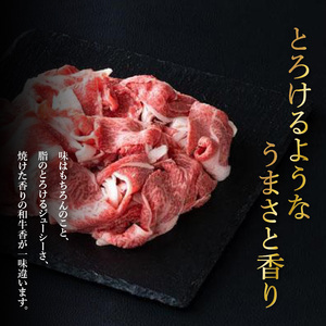 【12月発送予約】【年内発送】近江牛 切り落とし 500g [CS009a] / 近江牛 切り落し 切りおとし 牛肉 お肉 肉 高級 三大和牛 国産牛 国産 小間肉 小間切れ 小間切れ肉 冷凍 滋賀県