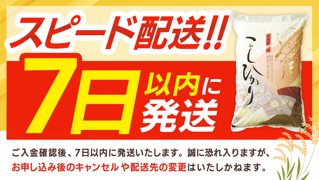 ≪ 令和7年度 新米 ≫ コシヒカリ 玄米10kg（10kg×1袋）（茨城県共通返礼品 かすみがうら市産） 新米 米 ごはん もっちり 甘い コメ お米 銘柄米 [EX012sa]