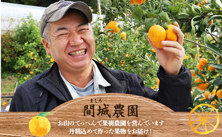 みかん 温州みかん 2.5kg 小玉大玉 無選果 大小混合【みかん みかん みかん みかん みかん みかん】 ms-0071