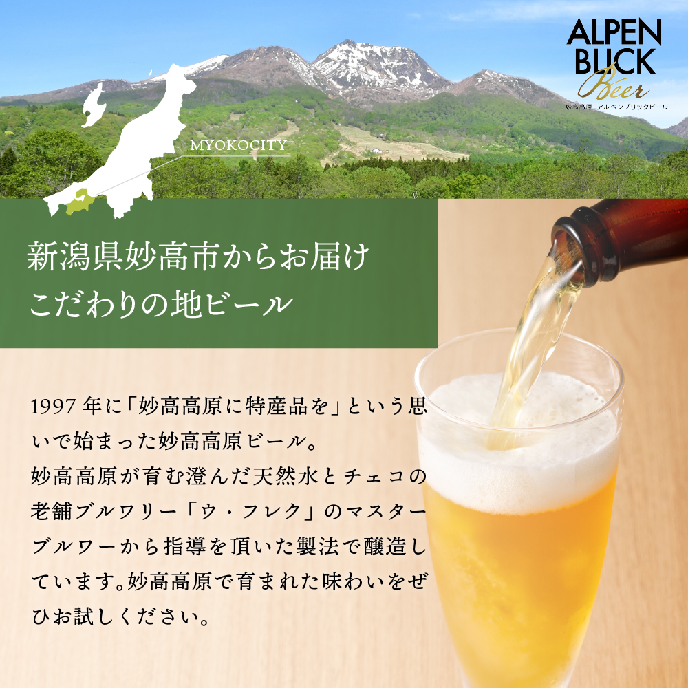 世界五大ビール審査会でトリプル受賞!妙高高原アルペンブリックビール3種ギフトセット(500ml×6本)【新潟県妙高市】