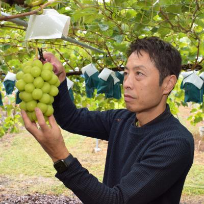 ふるさと納税 中野市 【発送月固定定期便】中野市の糖度13度保証の桃2.1kg以上とシャインマスカット2房1kg以上全2回 |  | 03