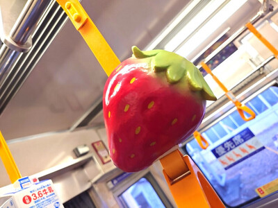 伊豆箱根鉄道駿豆線 共通返礼品　オリジナルデザインつり革掲出プラン（14日間）