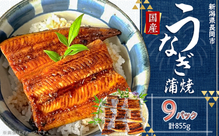H7-84B【簡単調理】国産鰻蒲焼　95g×9パック