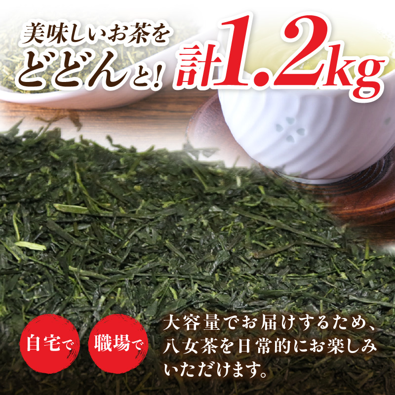 古賀製茶本舗 訳ありご家庭用八女茶煎茶 どどんと１.２キロ 八女茶 大容量 煎茶 福岡県 特産品 健康 茶葉 お茶 パック 緑茶