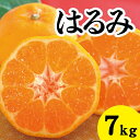 【ふるさと納税】【先行予約】はるみ約7kg【2025年2月以降発送】広島 三原 佐木島 鷺島みかんじま フルーツ 蜜柑 柑橘 果物 みかん ミカン 産地直送 お取り寄せ 017023