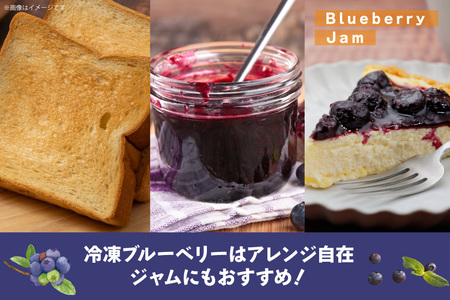 ブルーベリー 冷凍 1kg