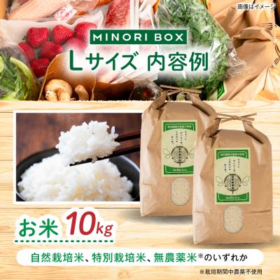 ふるさと納税 糸島市 全6回定期便 糸島産 肉 米 野菜 果物 厳選詰め合わせ MINORI BOX L [AOP017] |  | 01