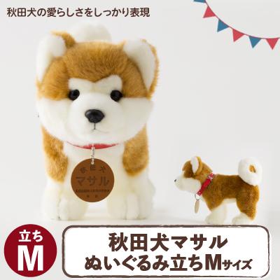 ふるさと納税 大館市 秋田犬マサルぬいぐるみ 立ちMサイズ